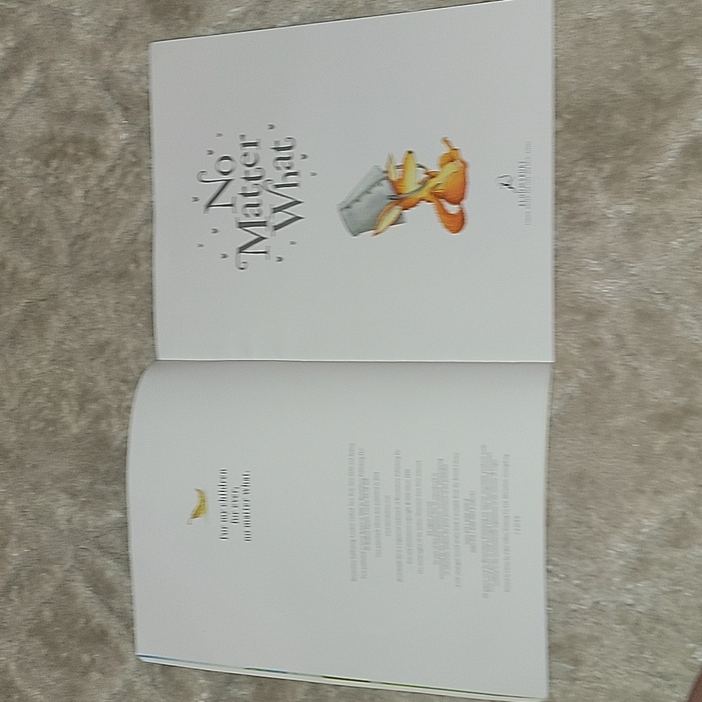 (J23) No Matter What kids book - Picture 3 of 4